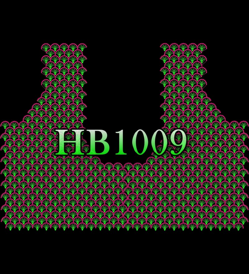 HB1009