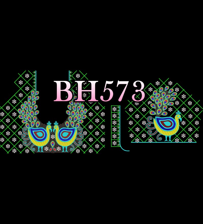 BH573