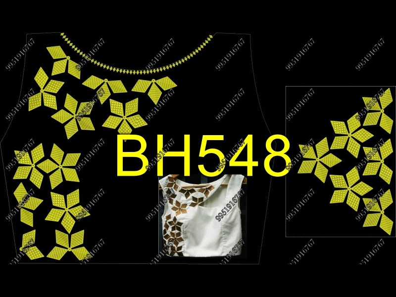 BH548