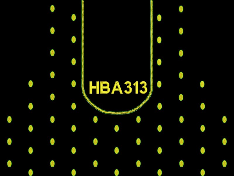 HBA313