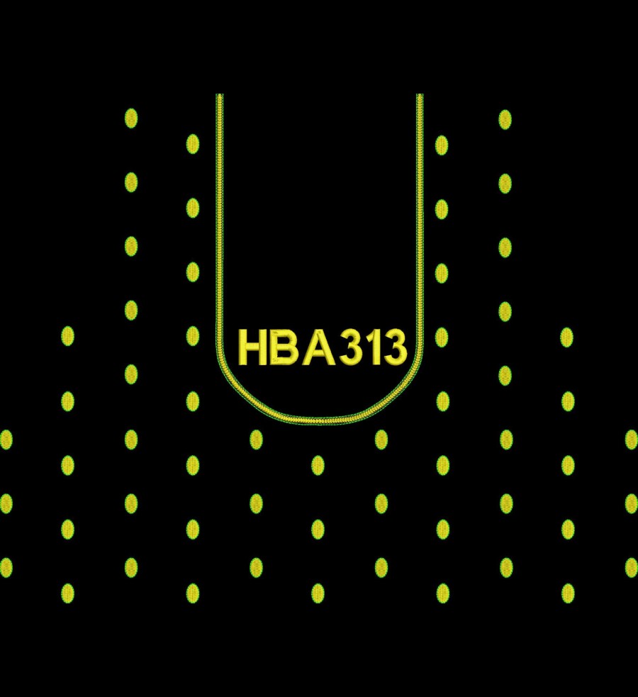 HBA313
