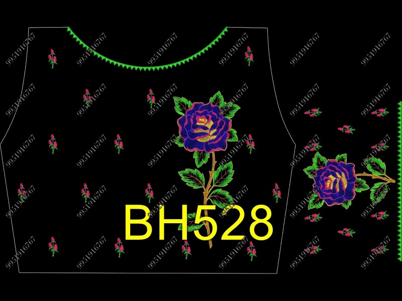 BH528