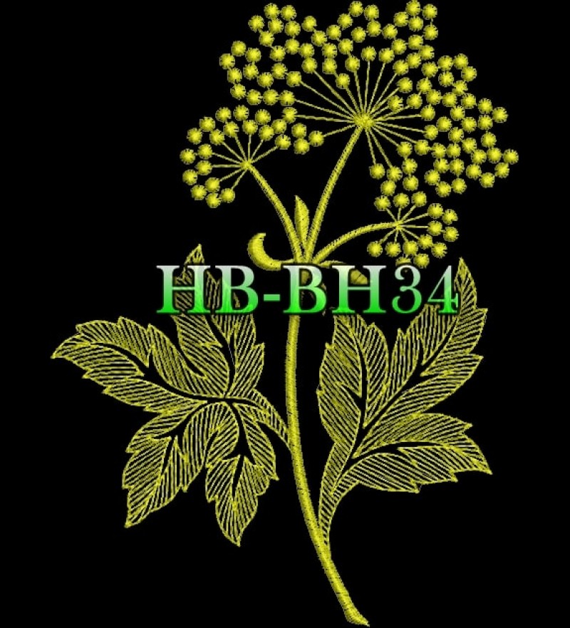 HBBH34