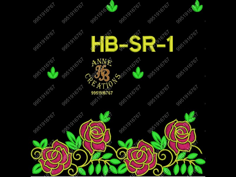 HBSR1