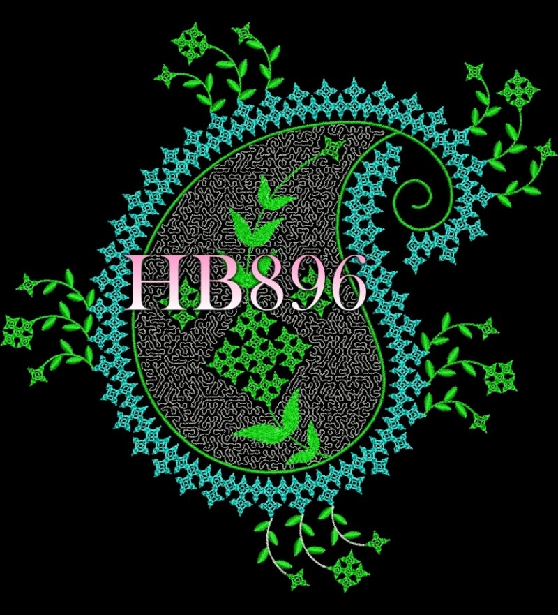 HB896