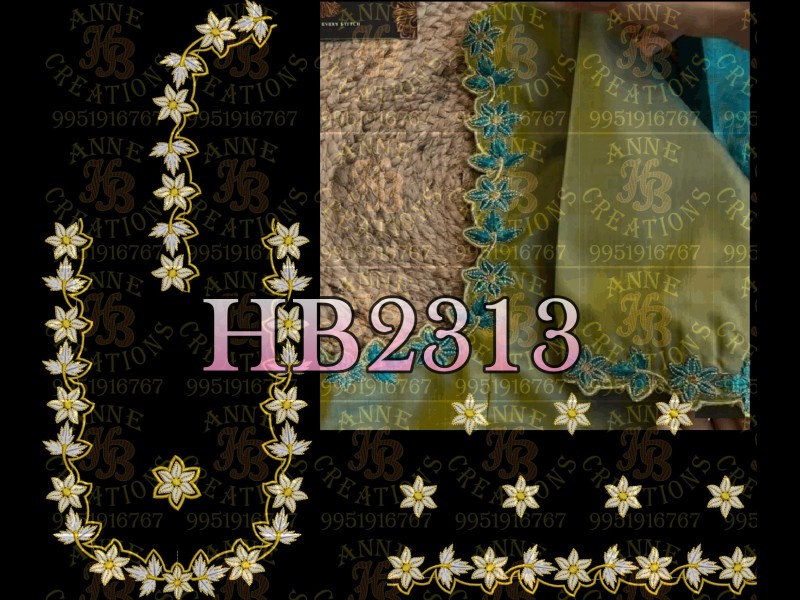 HB2313