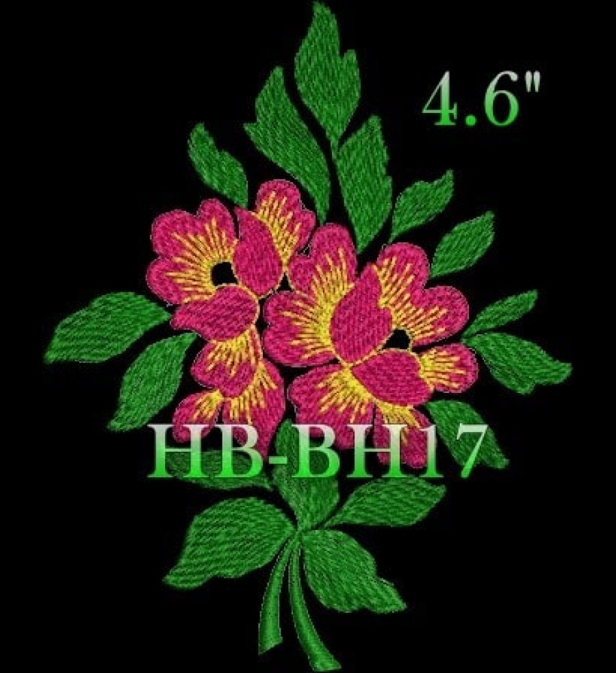 HBBH17